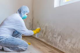 Forensic Mold Investigation in Clemmons, NC