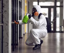 Best Emergency Mold Remediation  in Clemmons, NC