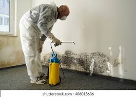 Clemmons, NC Mold Inspection Company